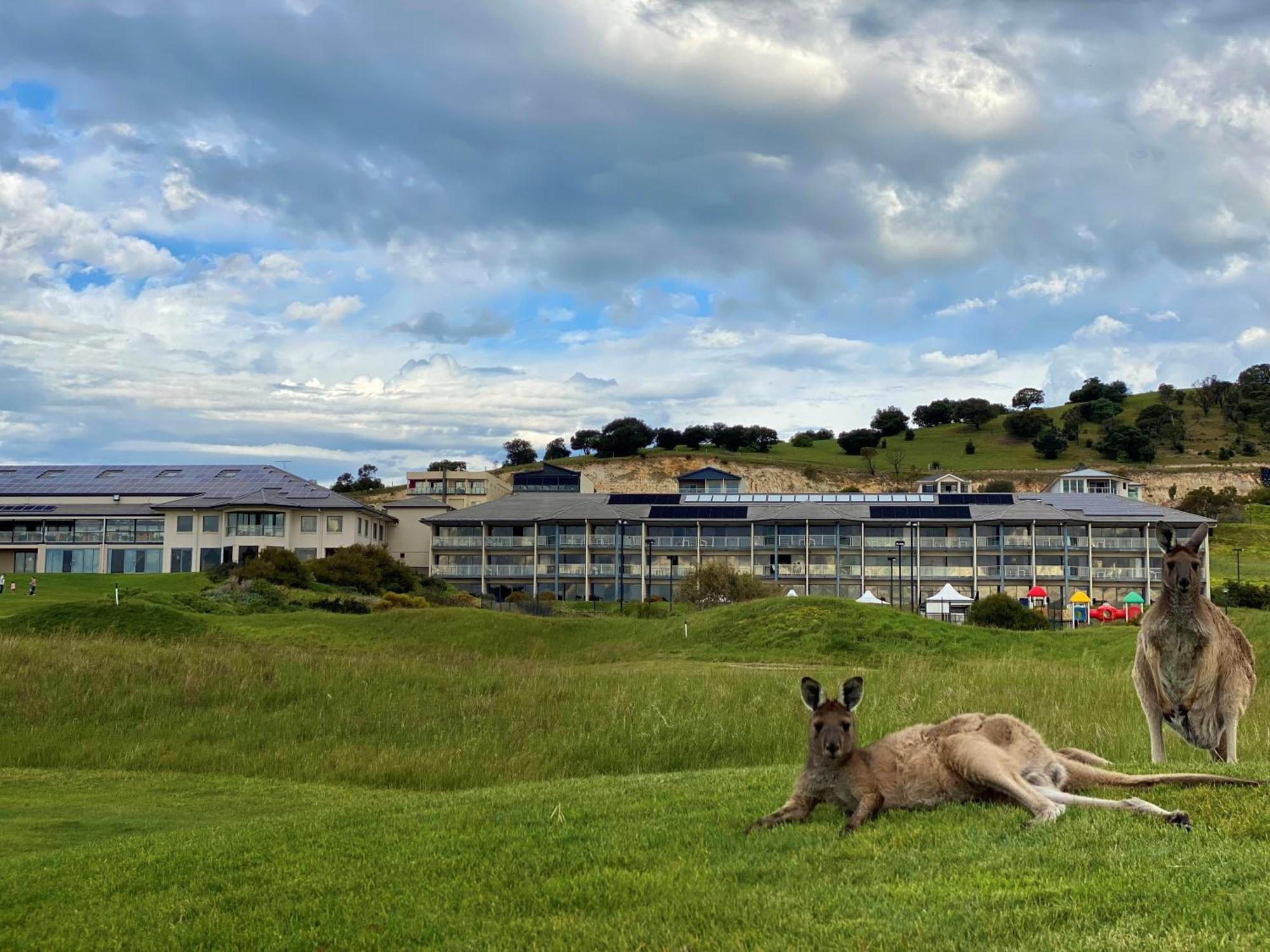 Lady Bay Hotel Normanville Exterior foto